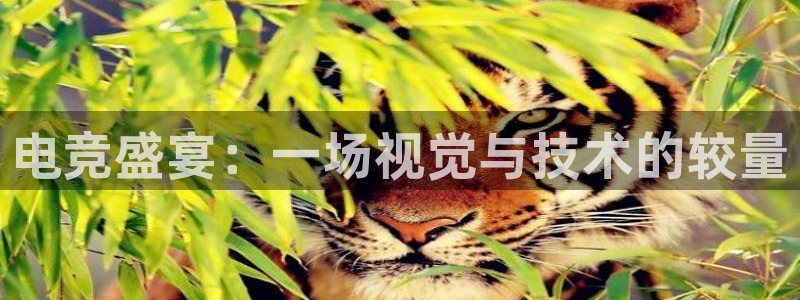 小艾电竞平台：电竞盛宴：一场视觉与技术的较量