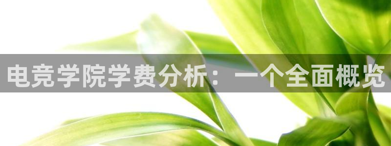 小艾电竞app下载官网：电竞学院学费分析：一个全面概览