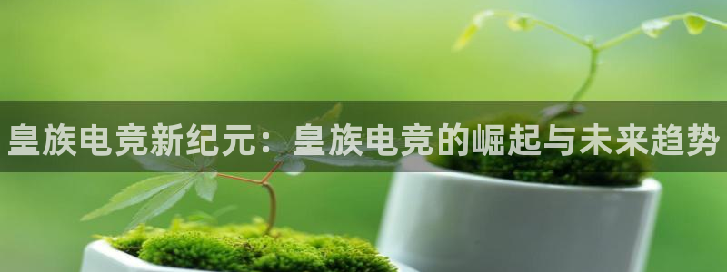 小艾电竞app：皇族电竞新纪元：皇族电竞的崛起与未来趋势