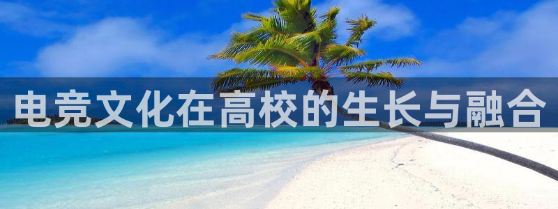 小艾电竞app下载官网：电竞文化在高校的生长与融合