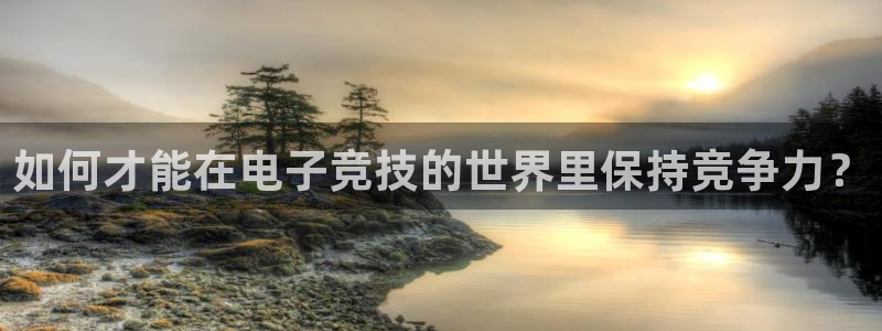 小艾电竞官网：如何才能在电子竞技的世界里保持竞争力？
