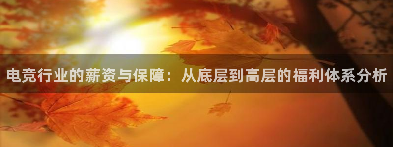 小艾电竞官网：电竞行业的薪资与保障：从底层到高层的福利体系分析