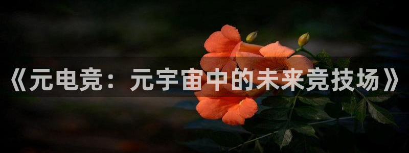小艾电竞官网：《元电竞：元宇宙中的未来竞技场》