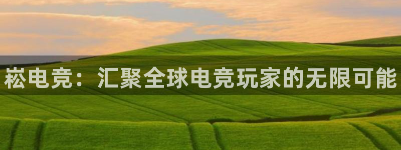 小艾电竞app下载官网：崧电竞：汇聚全球电竞玩家的无限可能