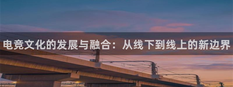 小艾电竞：电竞文化的发展与融合：从线下到线上的新边界