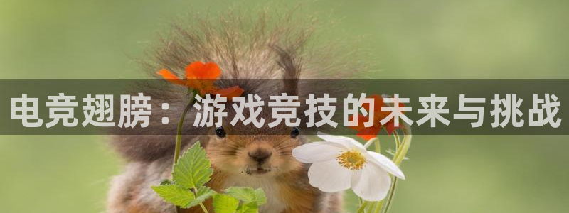 小艾电竞网页版登录：电竞翅膀：游戏竞技的未来与挑战