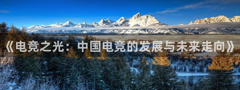 小艾电竞平台官方网：《电竞之光：中国电竞的发展与未来走向》