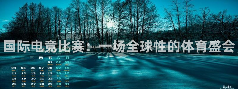 小艾电竞网页版登录：国际电竞比赛：一场全球性的体育盛会