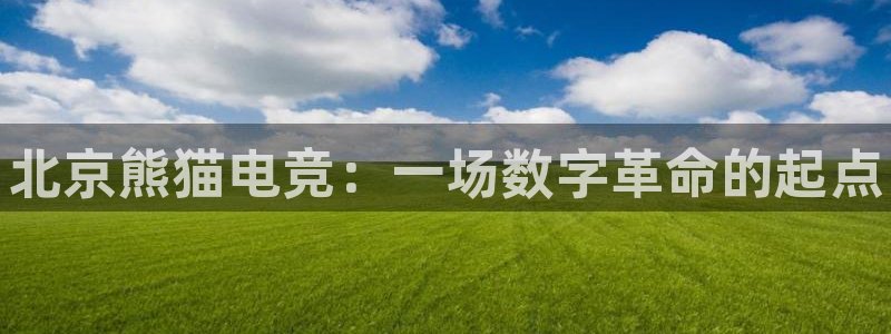 小艾电竞网页版登录：北京熊猫电竞：一场数字革命的起点