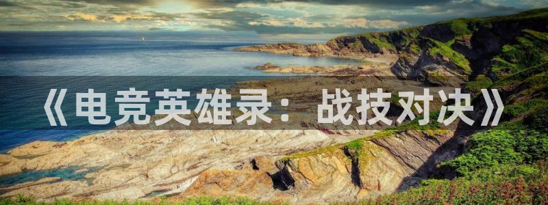 小艾电竞官网：《电竞英雄录：战技对决》