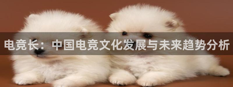 小艾电竞app：电竞长：中国电竞文化发展与未来趋势分析