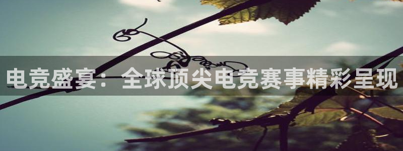 小艾电竞app下载官网：电竞盛宴：全球顶尖电竞赛事精彩呈现
