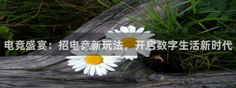 小艾电竞平台官方网：电竞盛宴：招电竞新玩法，开启数字生活新时代