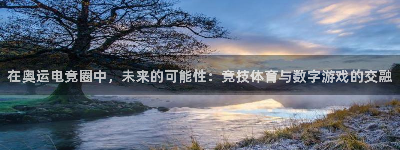小艾电竞网页版登录：在奥运电竞圈中，未来的可能性：竞技体育与数字游戏的交融