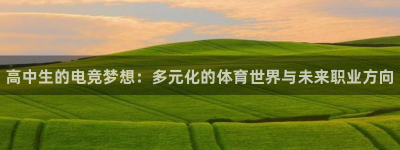 小艾电竞app下载官网：高中生的电竞梦想：多元化的体育世界与未来职业方向