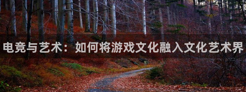 小艾电竞平台：电竞与艺术：如何将游戏文化融入文化艺术界