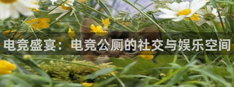 小艾电竞app下载官网：电竞盛宴：电竞公厕的社交与娱乐空间
