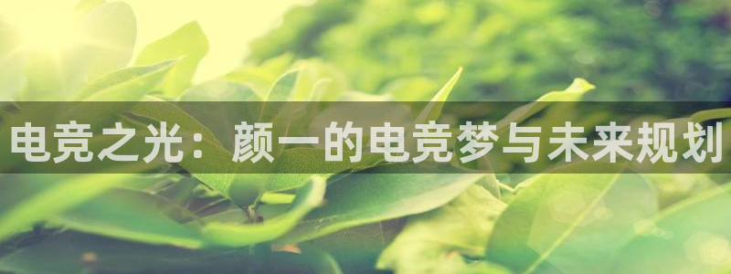 小艾电竞网页版登录：电竞之光：颜一的电竞梦与未来规划