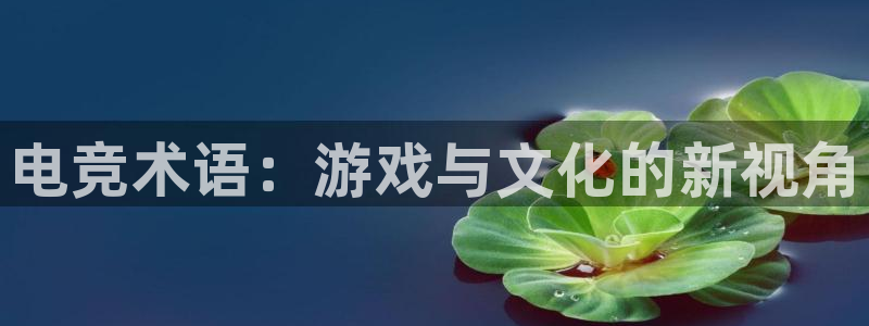 小艾电竞app：电竞术语：游戏与文化的新视角