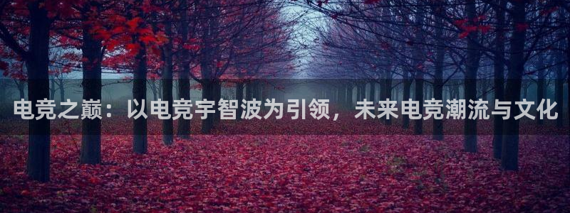 小艾电竞平台：电竞之巅：以电竞宇智波为引领，未来电竞潮流与文化