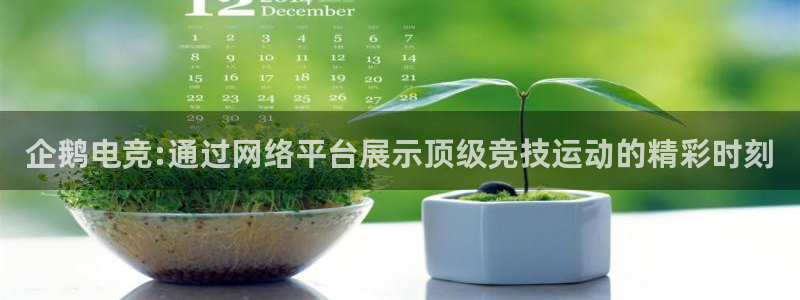 小艾电竞：企鹅电竞:通过网络平台展示顶级竞技运动的精彩时刻