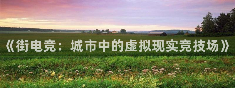 小艾电竞网页版登录：《街电竞：城市中的虚拟现实竞技场》