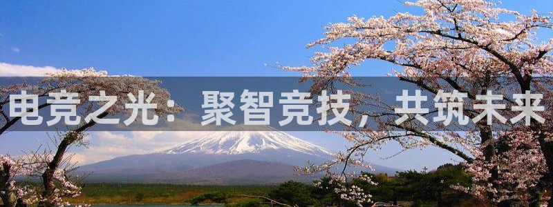 小艾电竞官网：电竞之光：聚智竞技，共筑未来