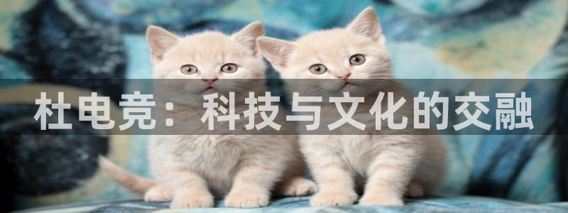 小艾电竞app下载官网：杜电竞：科技与文化的交融
