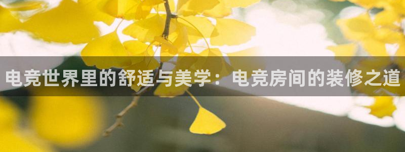 小艾电竞官网：电竞世界里的舒适与美学：电竞房间的装修之道