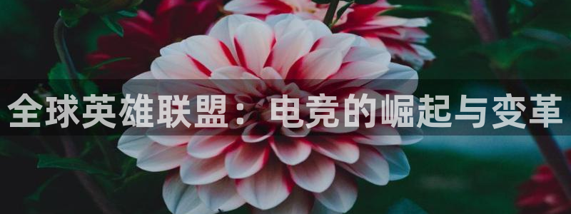 小艾电竞平台：全球英雄联盟：电竞的崛起与变革