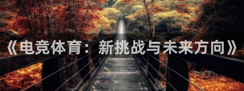 小艾电竞平台官方网：《电竞体育：新挑战与未来方向》