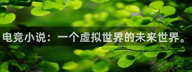 小艾电竞官网：电竞小说：一个虚拟世界的未来世界。