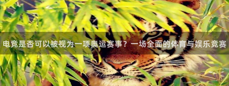 小艾电竞平台官方网：电竞是否可以被视为一项奥运赛事？一场全面的体育与娱乐竞赛
