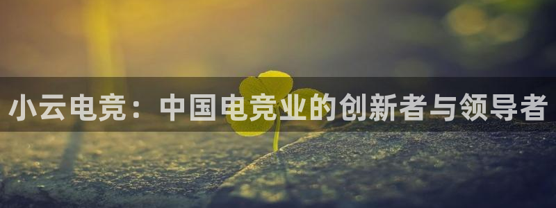 小艾电竞官网：小云电竞：中国电竞业的创新者与领导者