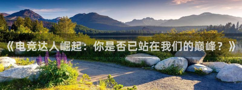 小艾电竞平台：《电竞达人崛起：你是否已站在我们的巅峰？》