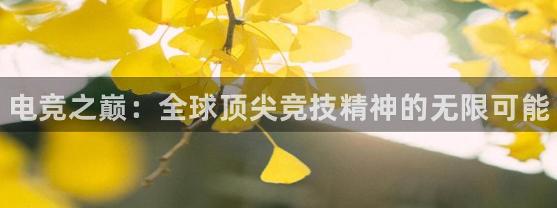 小艾电竞app下载官网：电竞之巅：全球顶尖竞技精神的无限可能