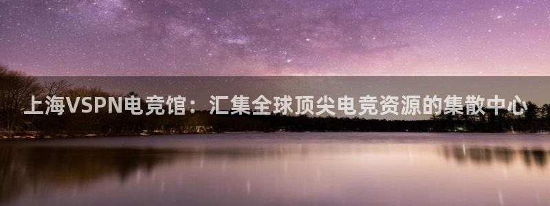 小艾电竞平台官方网：上海VSPN电竞馆：汇集全球顶尖电竞资源的集散中心