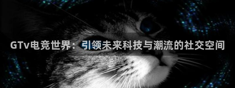 小艾电竞网页版登录：GTv电竞世界：引领未来科技与潮流的社交空间
