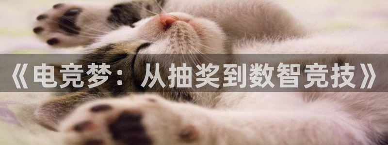 小艾电竞app下载官网：《电竞梦：从抽奖到数智竞技》
