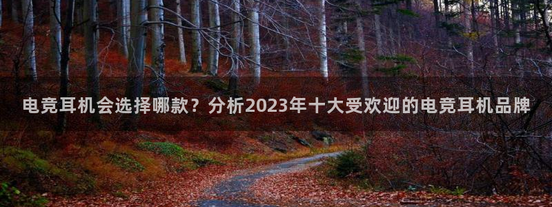 小艾电竞网页版登录：电竞耳机会选择哪款？分析2023年十大受欢迎的电竞耳机品牌
