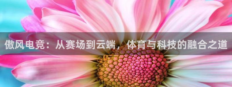 小艾电竞：傲风电竞：从赛场到云端，体育与科技的融合之道