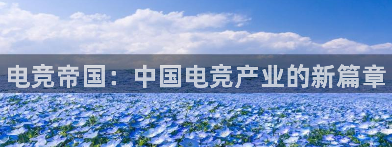 小艾电竞：电竞帝国：中国电竞产业的新篇章