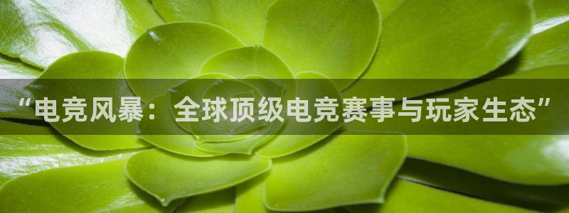 小艾电竞网页版登录：“电竞风暴：全球顶级电竞赛事与玩家生态”