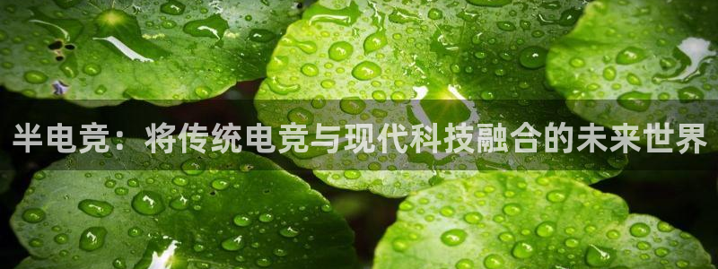 小艾电竞平台官方网：半电竞：将传统电竞与现代科技融合的未来世界