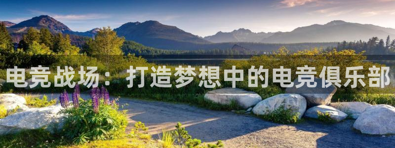 小艾电竞：电竞战场：打造梦想中的电竞俱乐部