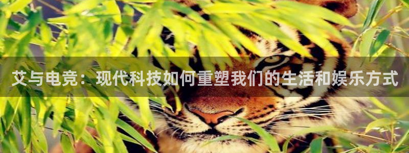 小艾电竞官网：艾与电竞：现代科技如何重塑我们的生活和娱乐方式