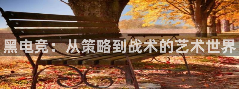 小艾电竞app下载官网：黑电竞：从策略到战术的艺术世界