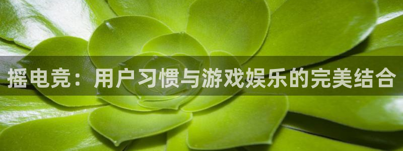 小艾电竞网页版登录：摇电竞：用户习惯与游戏娱乐的完美结合