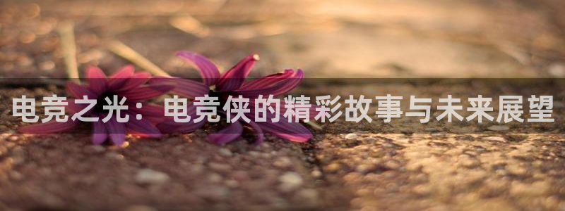 小艾电竞官网：电竞之光：电竞侠的精彩故事与未来展望