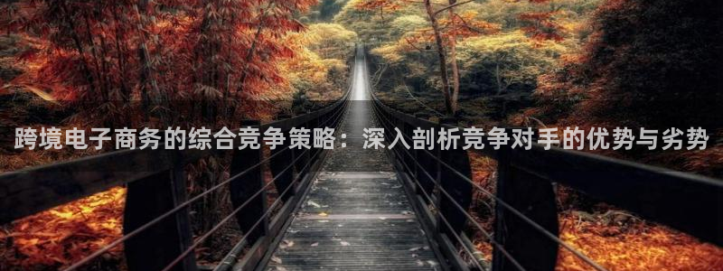 小艾电竞app下载官网：跨境电子商务的综合竞争策略：深入剖析竞争对手的优势与劣势